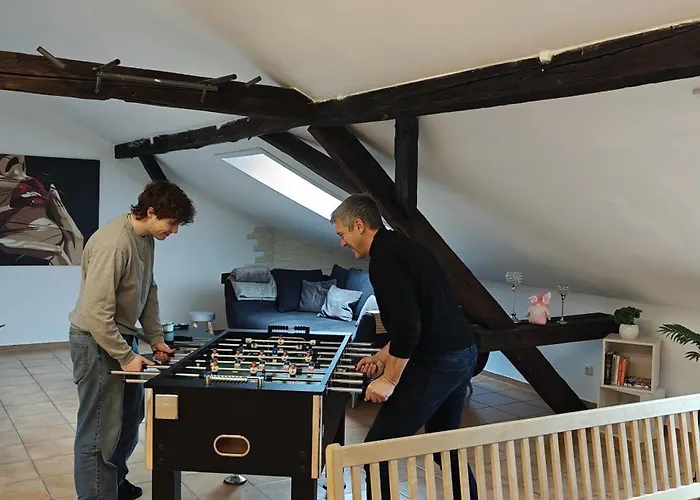アパート Loft Mit Weiherblick Im Fraenkischen Seenland *