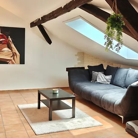Apartman Loft Mit Weiherblick Im Fraenkischen Seenland *